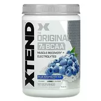 SciVation XTEND 420 g. (Mangų skonis)