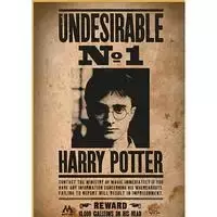 Wizarding World Burtininkų pasaulio nykštys aukštyn! Dėlionė Haris Poteris „Ieškomas Nr. 1“ 50 dienų