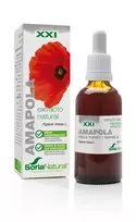 Soria Aguonų ekstraktas S Xxi 50ml