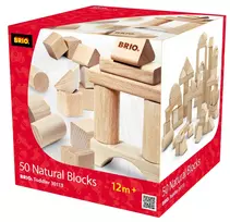 „Brio Rinkinys“ statybiniai blokeliai (30113)