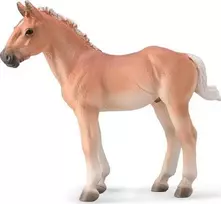 Collecta Surinkta Norikerio kaštonų jūra