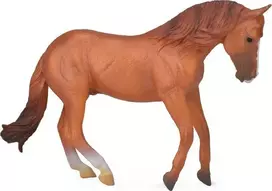 Collecta Figūrėlė - Australiškas žirgas
