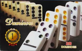Mega Creative -MC Žaidimas DOMINO MAGN 19X11X3 REAL PUD 60