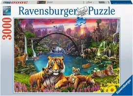 Ravensburger Dėlionė 3000 vnt. - Tigrai lagūnoje