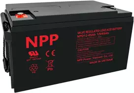 Npp Power Akumuliatorius NPD 12V 65Ah T14 NPP serija DEEP makaronai
