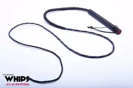 Whips Odinis botagas 135cm
