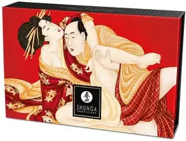 Shunga Strawberry Edible Massage Powder Kit 75g - Scented Body Care Set