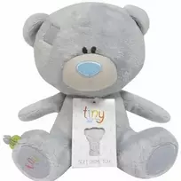 TINY TATTY didelis minkštas meškinas TEDDY, 23 cm