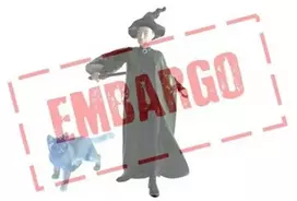 Figūrėlė Schleich McGonagall & Patronus Wizarding World