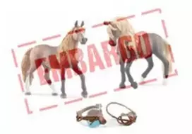 SCHLEICH HORSE CLUB Horse Club Pradinis Rinkinys