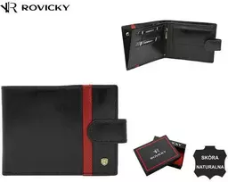 Vyriška odinė piniginė Rovicky RV156