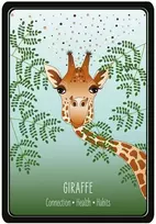 AGM Lovely Animals Oracle Kortos