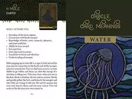 KNYGA Schiffer Publishing The Wild Elemental Oracle Kortos