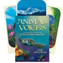 Blue Angel Mėlyna Angel Mėlyna Angel Animal Voices Oracle Kortos