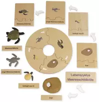 Dėlionė TimeTEX Jūrų Vėžlio Gyvenimo ciklas, medinėje dėžutėje, Vokiška versija "Montessori Premium" (TT94751)