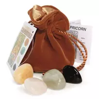 Lo Scarabeo Astrologinis Kristalinis Talismanas (Ožiaragis)