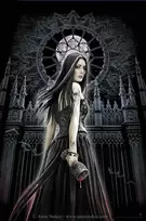 Puzzle 1000 Midnight Moon - RAVENSBURGER dėlionė