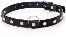 Fetish B Series Bdsm bondage dominantinė apykaklė 2cm odinė sidabrinė