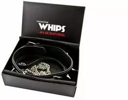 Whips Collections Rinkinys pavadėlio apykaklė natūralios odos smeigės botagai
