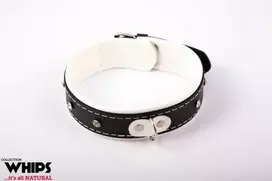 Whips Collections Apkaustai - Moteriška apykaklė 4 cm, balta