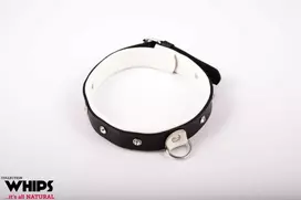 Whips Collections Apkaustai - Moteriška apykaklė, vidutinė, balta