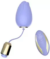 B Series Joy B serijos Joy Vibrating makšties kiaušinėlių masažuoklio nuotolinio valdymo pultas 9 režimai