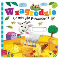 Aksjomat Knyga vaikams: Kas mane lauks kieme? KS0990 - Keliama vizualizacija