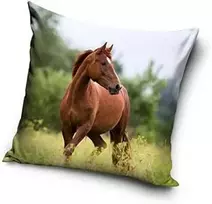 Carbotex Pagalvės užvalkalas 40x40 Arkliai arkliai poniai