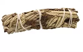 Smilkalai - Yerba Santa Šalavijas Ancient Wisdom