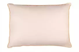 Rava Lux Pūkinė ir plunksnų pagalvė 50x70 cm RL03 1.1kg