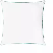 Rava Lux Pagalvė Aloe Vera 70x70 cm RL20