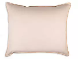 Rava Lux Pūkinė ir plunksnų pagalvė 50x60 cm RL92 0.6kg