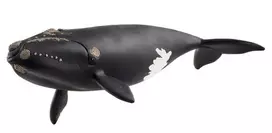 Schleich figūrėlė Pietinis tikrasis banginis