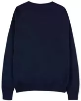 Difuzed Harry Potter House Crests sweater