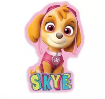 Herding Paw Patrol Skye 'Šunyčiai Patruliai' Pagalvė