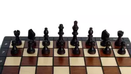 Provechess Magnetiniai šachmatai Magnetic Small 280x140x40mm, karalius 60mm