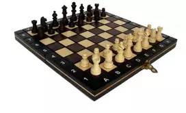 Provechess Magnetiniai šachmatai Magnetic School 260x130x40mm, karalius 50mm