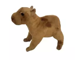 Dubi Pliušinis žaislas - kapibara, 20 cm
