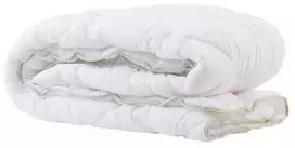 Domoletti Dymo Masterjero Blanket Aloe Vera 160X200 Pes 350Gm2