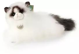 Pliušinis Rappa Ragdoll katinas 38 cm EKOLOGIŠKAS