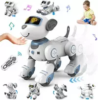 Radijo bangomis valdomas šuo robotas RC robot dog