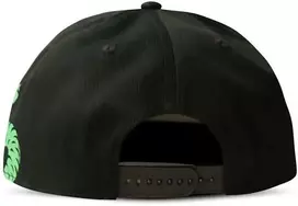 Difuzed Harry Potter Slytherin snapback cap
