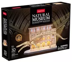 Dėlionė CubicFun Dante Cubic Fun puzzle 3D LED NatMus.PłetwalBłękit.05454