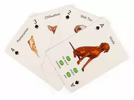 Kikkerland - Paws & Play žaidimo kortos - (GG274)