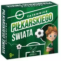 Dėlionė Kangur Gry Futbolo pasaulio paslaptys 43101