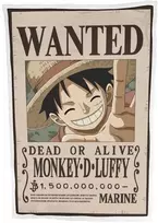 MCU „One Piece“ šerpų fliso užtiesalas 100x150 cm