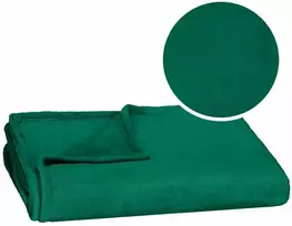 Pledas Springos 200x220 cm žalias poliesteris