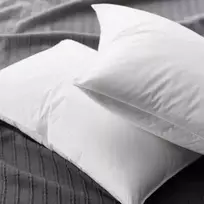 Saules Patalyne Pūkinė pagalvė su tiku EXCLUSIVE ULTRA (žąsų 90%-pūkų, 10%-plunksnų), 70x80 cm (1kg)