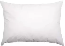 Scandun Antialerginė pagalvė su mikropluošto pūkų užpildu NORA Pagalvės matmenys - 68x68 cm