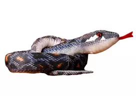 Pliušinis žaislas Gyvatė, pilka, 210 cm